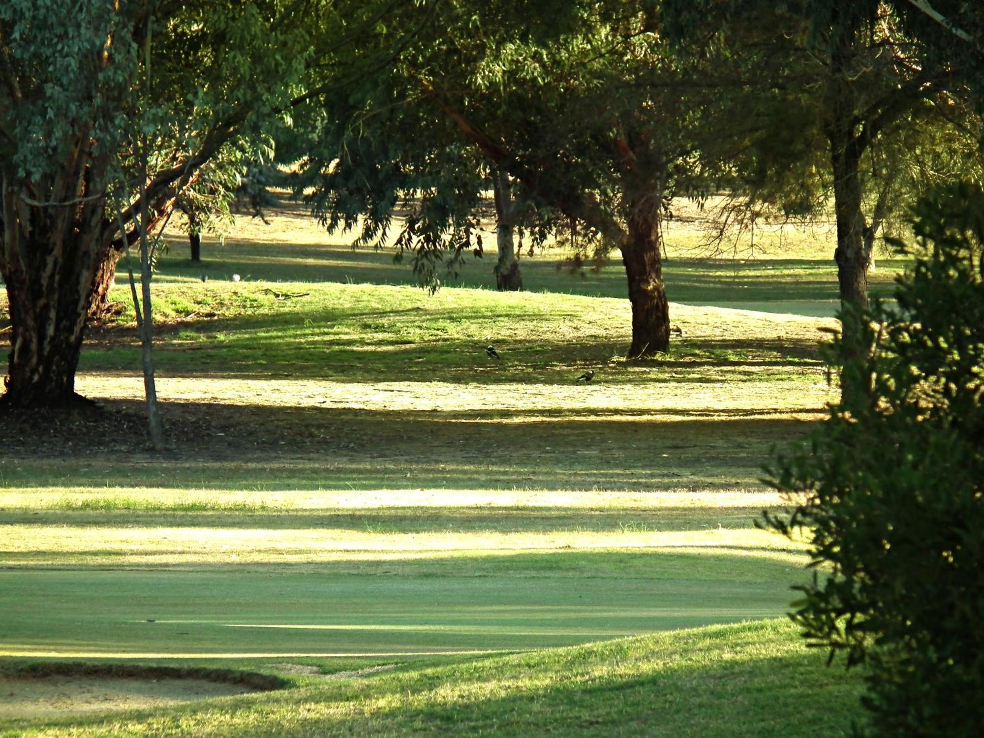 Cobram Barooga Golf Resort Camera foto